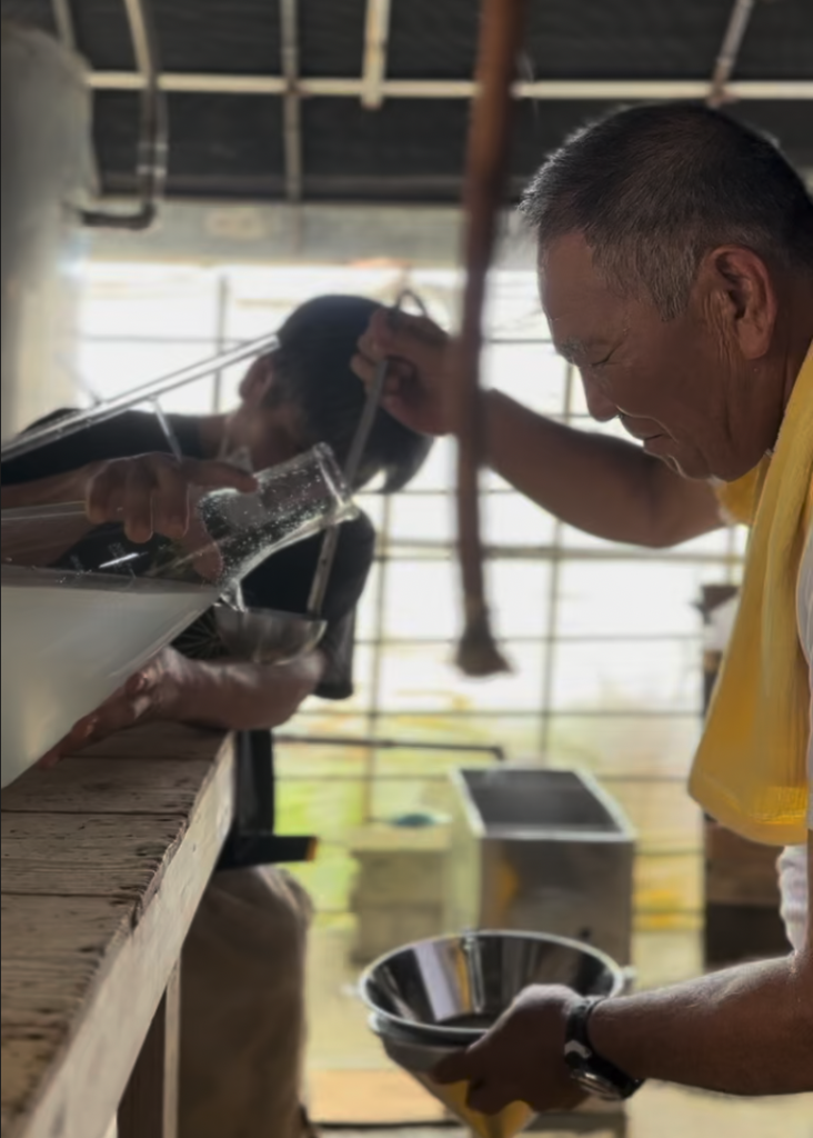 第810回　シークワーサー